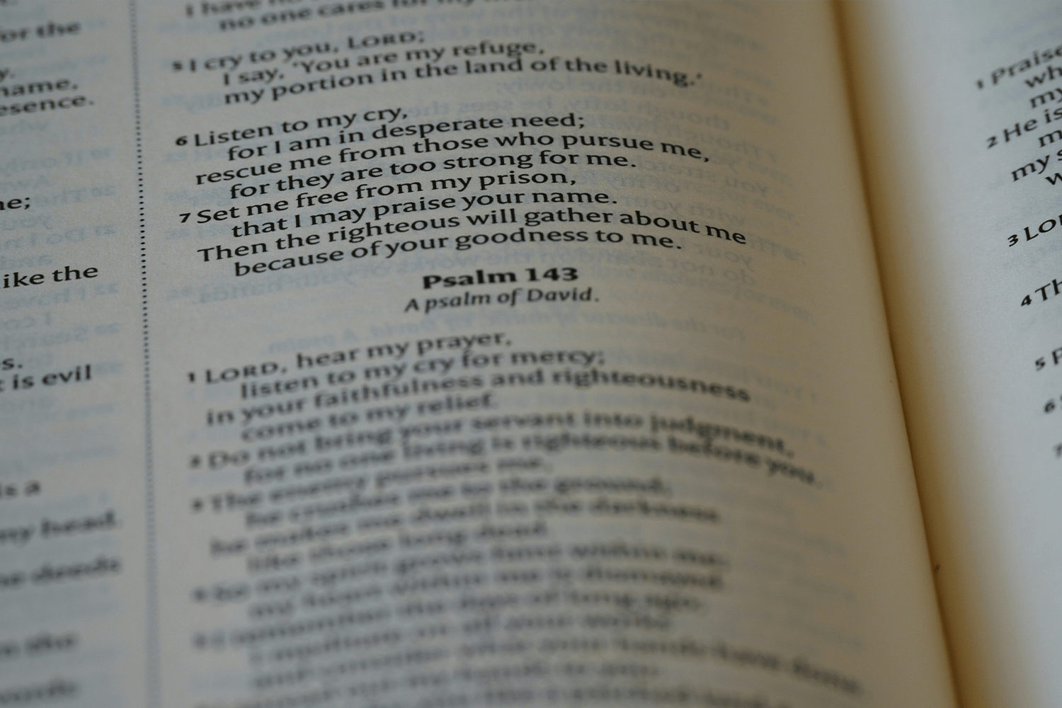 doctrine-img